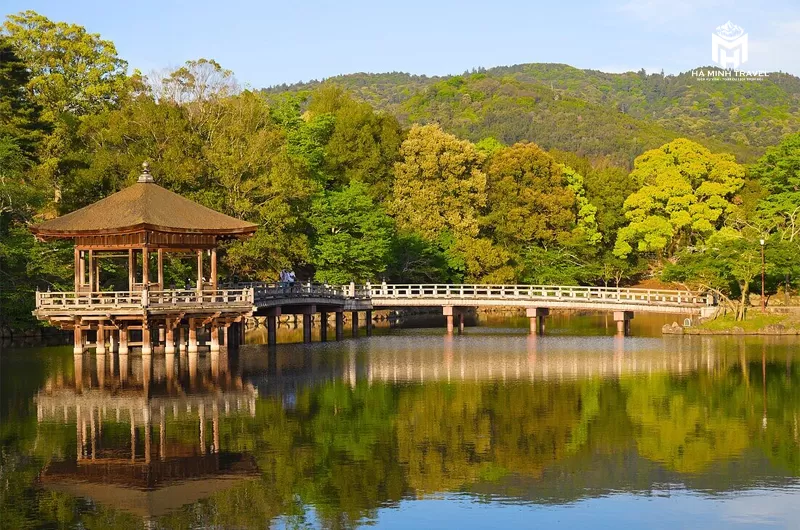 Tour Nhật Bản mùa hoa: OSAKA – NARA – PHÚ SĨ – NAGOYA – KYOTO - OSAKA (6N5Đ)