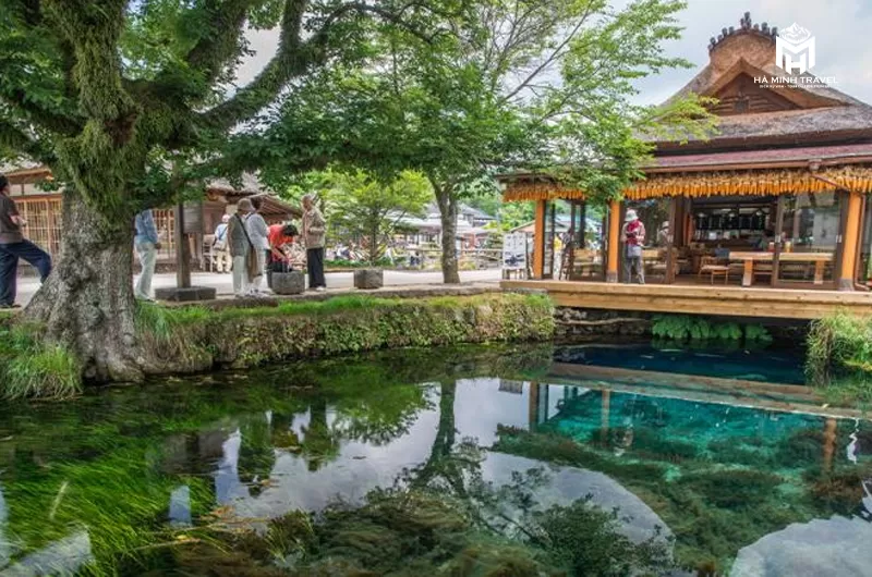 Tour Nhật Bản mùa hoa: OSAKA – NARA – PHÚ SĨ – NAGOYA – KYOTO - OSAKA (6N5Đ)