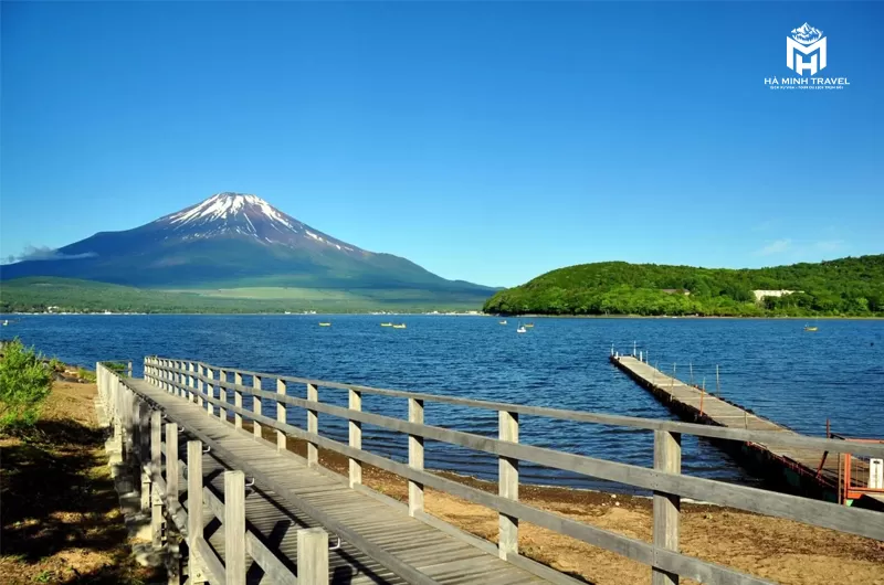 Tour Nhật Bản mùa hoa: OSAKA – NARA – PHÚ SĨ – NAGOYA – KYOTO - OSAKA (6N5Đ)