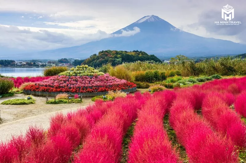 Tour Nhật Bản No Shopping: KOBE – OSAKA – KYOTO – NAGOYA – PHÚ SĨ – TOKYO (6N5Đ)