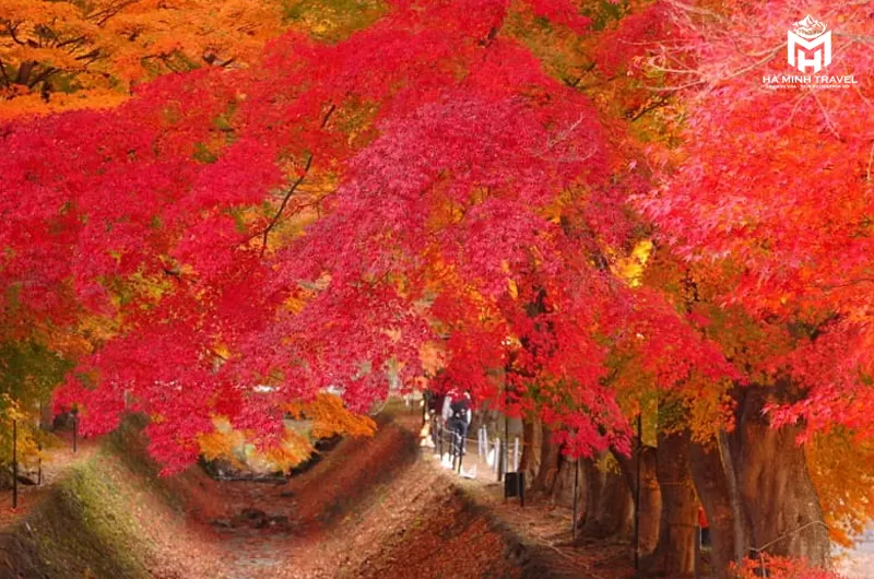 Tour Nhật Bản No Shopping: KOBE – OSAKA – KYOTO – NAGOYA – PHÚ SĨ – TOKYO (6N5Đ)
