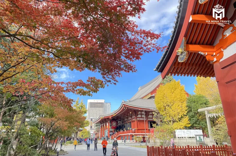 Tour Nhật Bản No Shopping: KOBE – OSAKA – KYOTO – NAGOYA – PHÚ SĨ – TOKYO (6N5Đ)