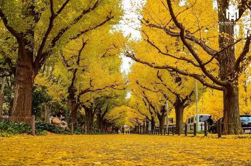 Tour Nhật Bản No Shopping: KOBE – OSAKA – KYOTO – NAGOYA – PHÚ SĨ – TOKYO (6N5Đ)