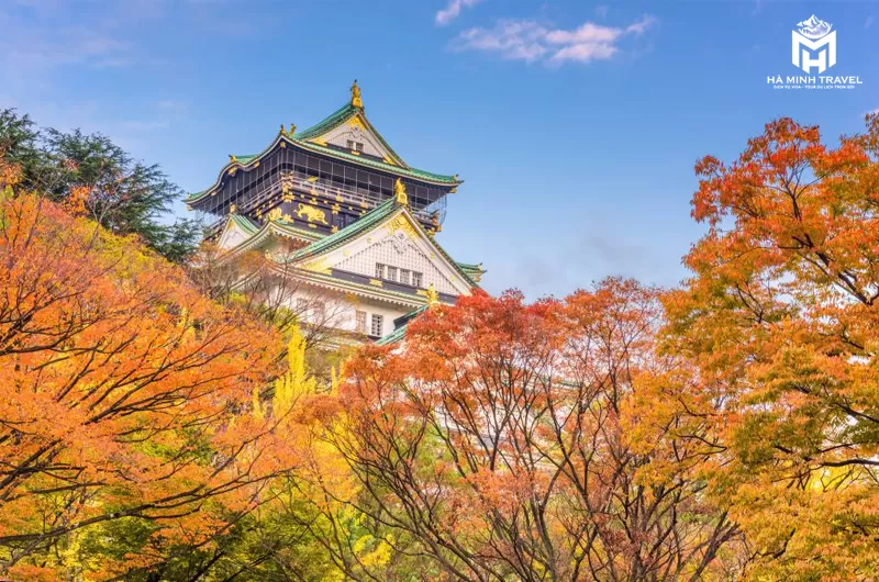 Tour Nhật Bản No Shopping: KOBE – OSAKA – KYOTO – NAGOYA – PHÚ SĨ – TOKYO (6N5Đ)