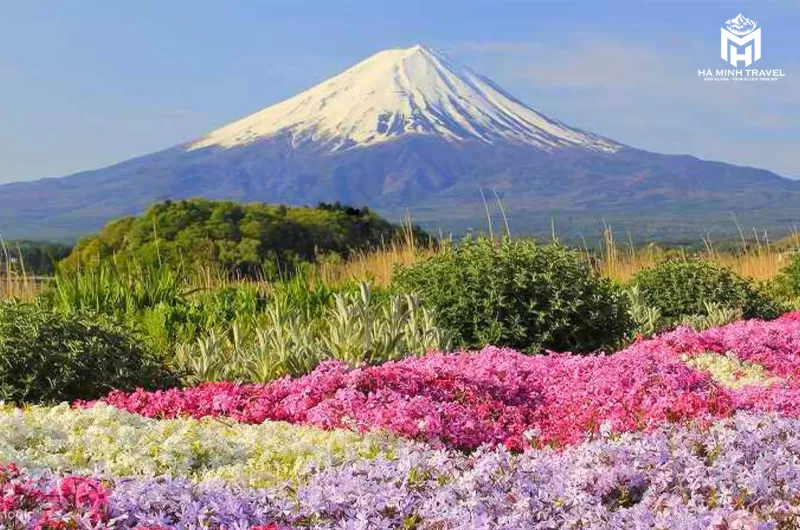 Tour Nhật Bản No Shopping: KOBE – OSAKA – KYOTO – NAGOYA – PHÚ SĨ – TOKYO (6N5Đ)