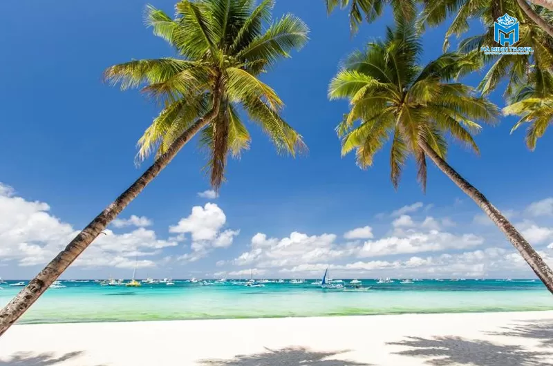 Tour nội địa Tết: Hà Nội – Phan Thiết – Sài Gòn (4N3Đ)