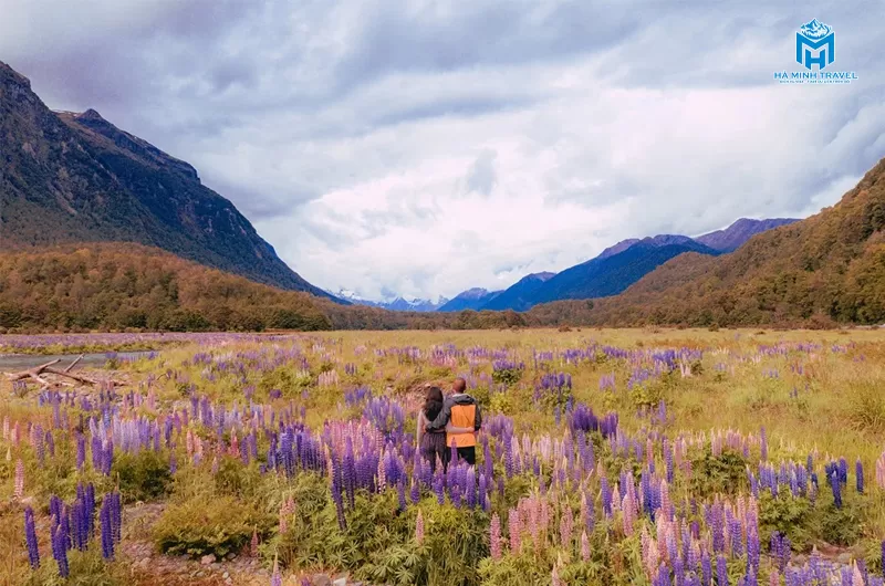 Tour New Zealand 30/4 (9N8Đ)