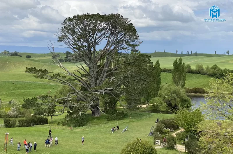 Tour New Zealand 30/4 (9N8Đ)