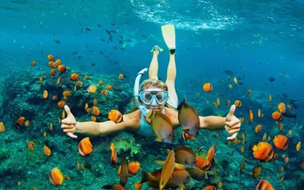 Tour Lặn Biển Hòn Mun Trọn Gói Giá Rẻ Siêu Ưu Đãi