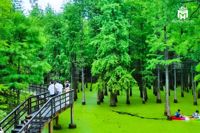 Tour Trung Quốc: THƯỢNG HẢI - HÀNG CHÂU - Ô TRẤN (6N5Đ)