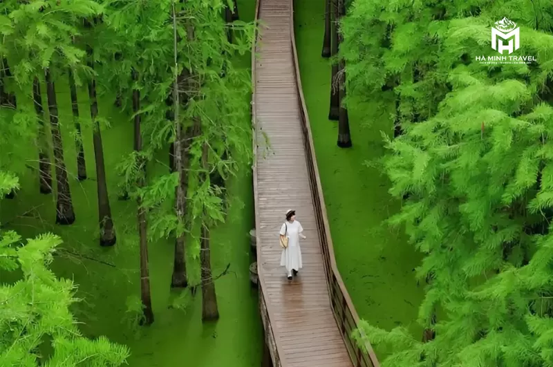 Tour Trung Quốc: THƯỢNG HẢI - HÀNG CHÂU - Ô TRẤN (6N5Đ)